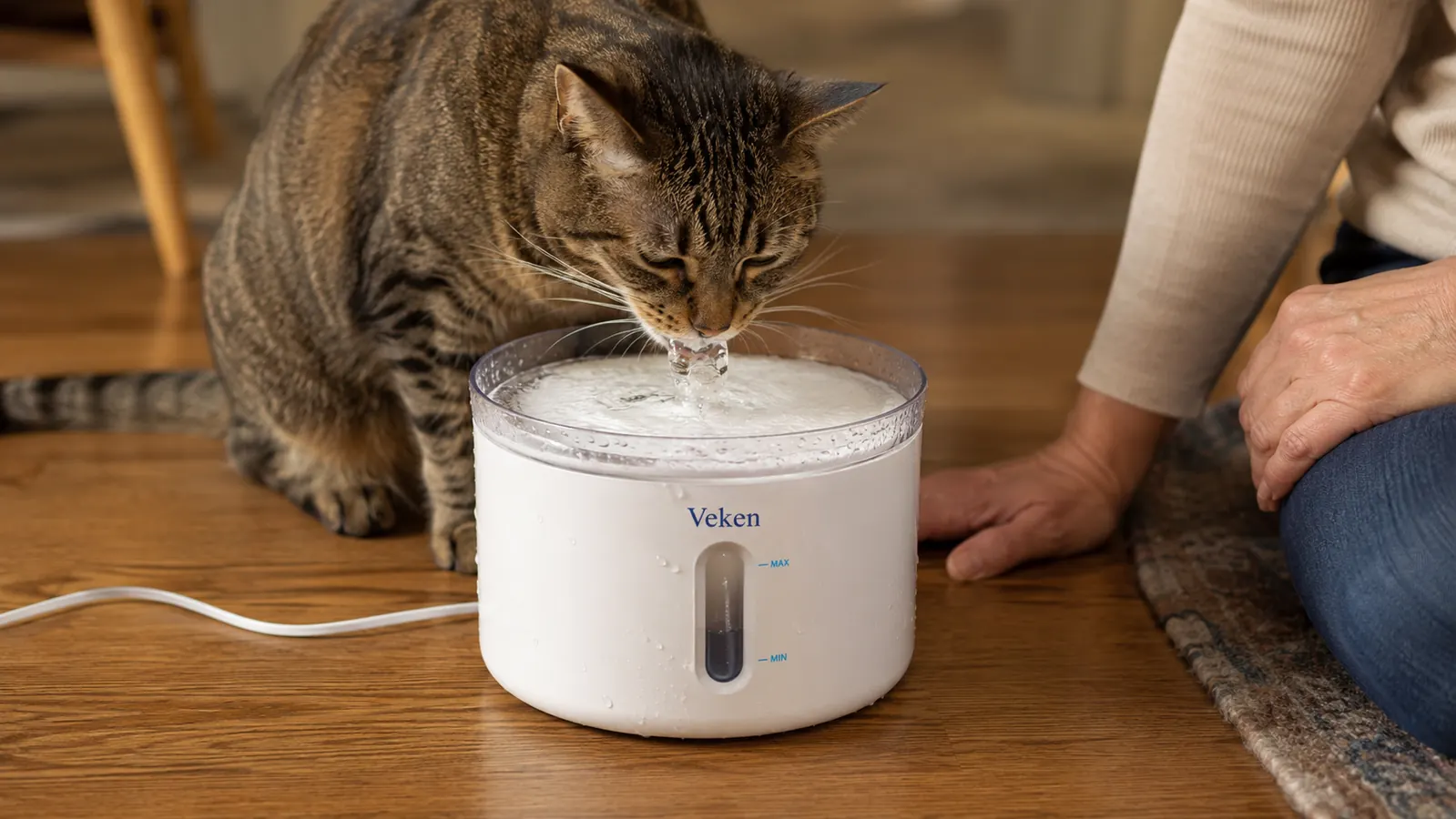 Close-up of a cat drinking from the flowing water stream of the Veken pet fountain