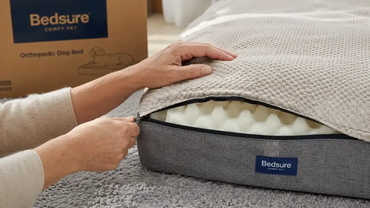 Hand unzipping the removable cover of a large orthopedic dog bed to show the foam insert underneath