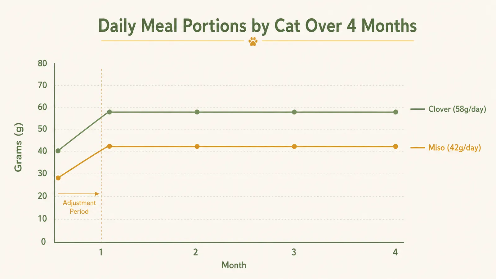 Chart showing cat daily meal portions tracked over 4 months, with a higher line for Clover and a lower line for Miso staying within target gram ranges