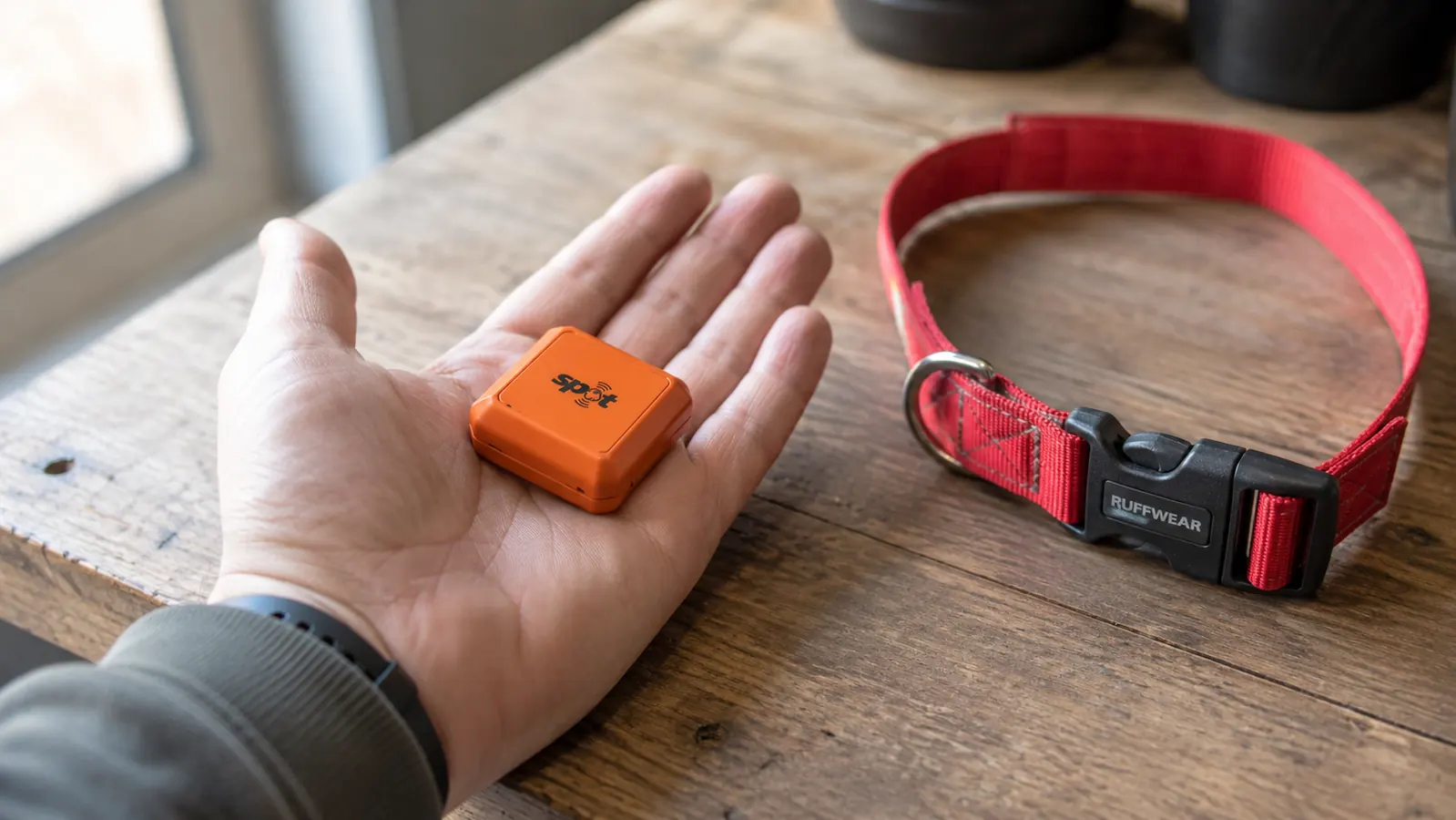 Small orange Tractive GPS tracker sitting on an open palm next to a medium-sized dog collar on a wooden table