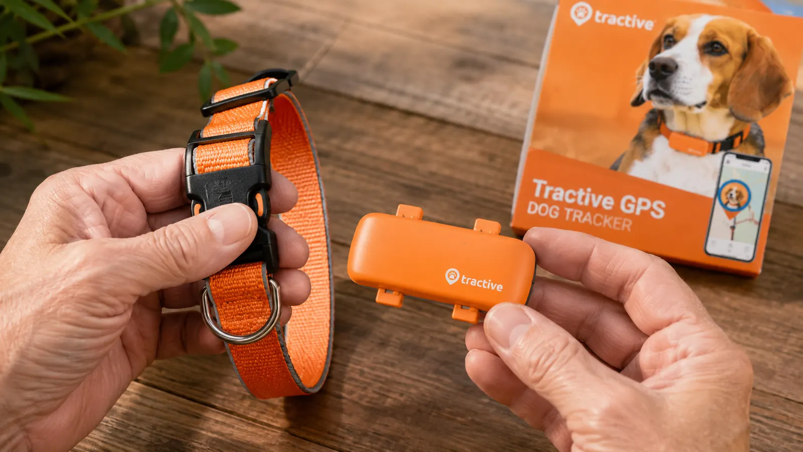 Close-up of the Tractive GPS tracker clipped to a dog collar, held in a human hand to show its small size